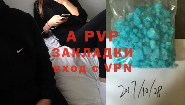 стафф Алзамай