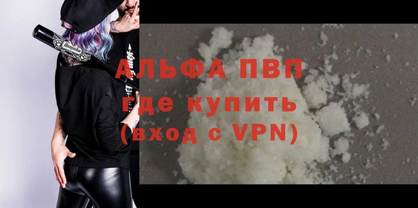стафф Алзамай