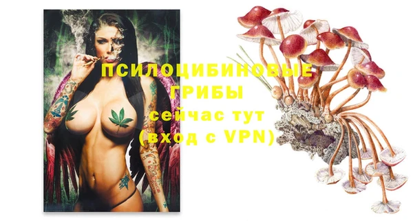стафф Алзамай