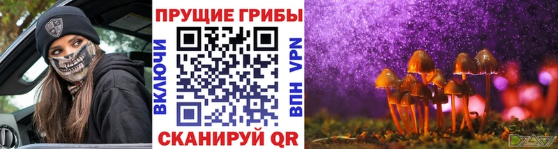 Псилоцибиновые грибы MAGIC MUSHROOMS  omg сайт  Геленджик  где можно купить  