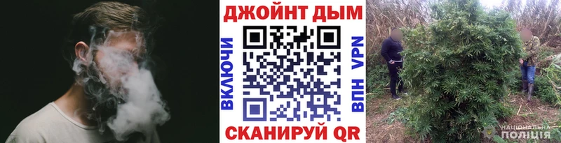 закладки  Геленджик  Бошки Шишки план 